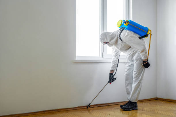 Best Residential Pest Control  in Pierson, FL